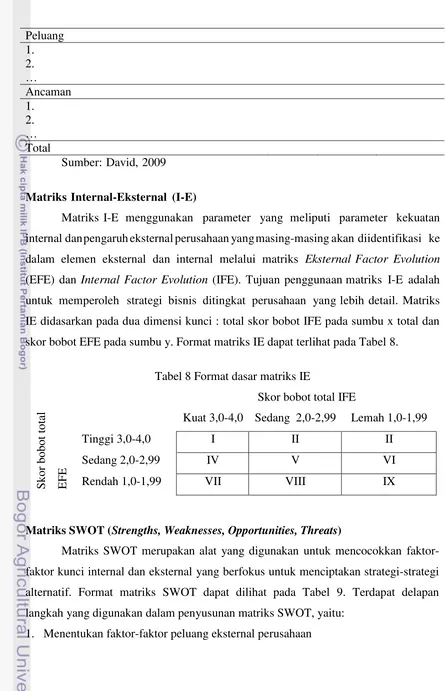 Tabel 8 Format dasar matriks IE 