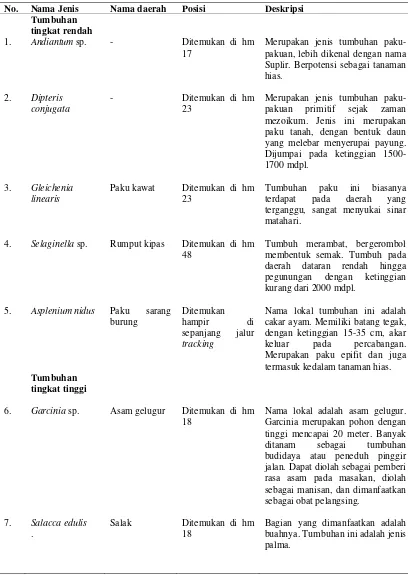 Tabel 14  Hasil identifikasi tumbuhan di jalur tracking Negeri Suah-Tongkoh 
