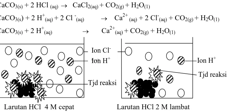Gambar 9. Larutan HCl dengan konsentrasi 2 M dan 4 M 