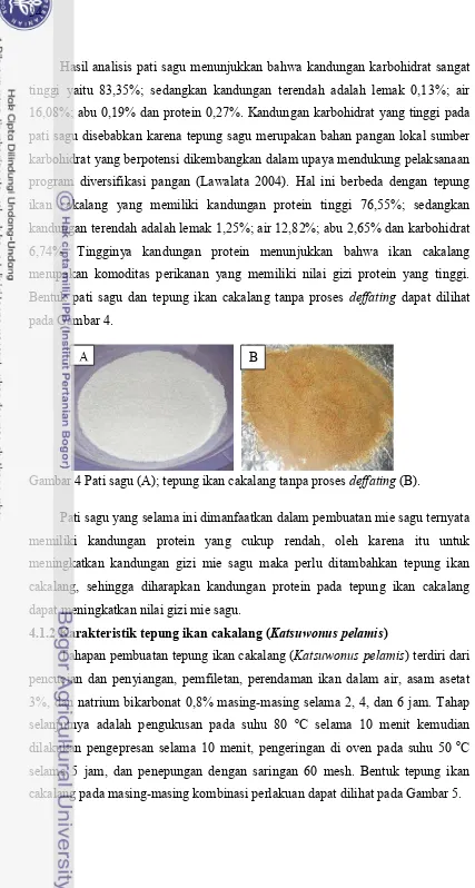 Gambar 4 Pati sagu (A); tepung ikan cakalang tanpa proses deffating (B).