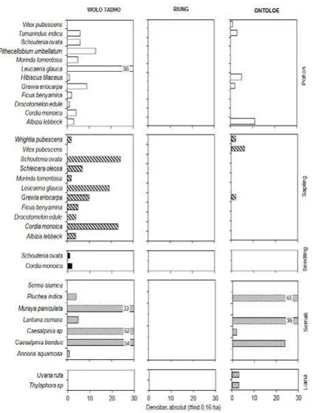 Gambar 5. Densitas tiap jenis penyusun growth form vegetasi hutan ekoton di Wolo Tado, Riung dan Ontoloe