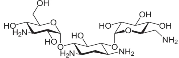 Gambar 5 Struktur kanamisin (Helmenstine 2012). 