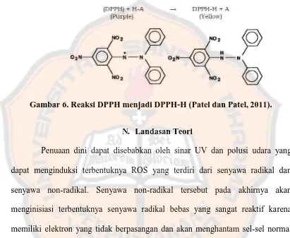 Gambar 6. Reaksi DPPH menjadi DPPH-H (Patel dan Patel, 2011). 