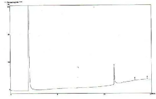 Gambar 24. Kromatogram GC Ionofor Hasil Sintesis 