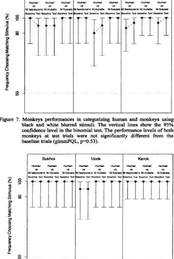 Figure 8. Monkeys performances in categorizing human and monkeys using resized, blurred, black and white stimuli