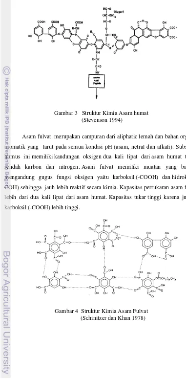 Gambar 3   Struktur Kimia Asam humat 