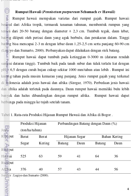 Tabel 1. Rata-rata Produksi Hijauan Rumput Hawaii dan Afrika di Bogor . 