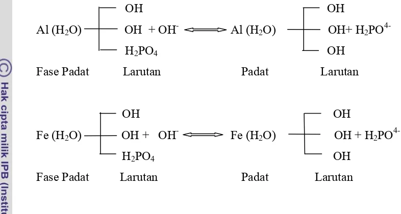 Gambar 2 Reaksi sederhana pelarutan P sukar larut dari komplek Al-P dan Fe-P 