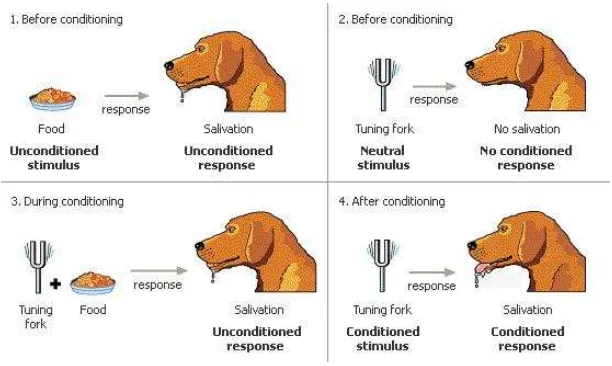 Gambar  1. teori pembiasaan menurut Ivan Pavlov menggunakan Anjing 