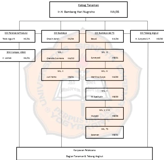 Gambar 4.2 Struktur Organisasi PG. Meritjan Th. 2012 (lanjutan) 