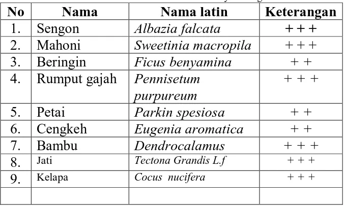 Tabel 2.3  Daftar Jenis Flora di Wilayah Sungai Wolowona Nama latin Albazia falcata 