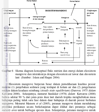 Gambar 6  Skema diagram konseptual fluks nutrien dan energi dalam ekosistem 