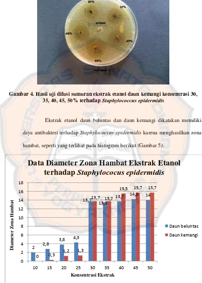 Gambar 4. Hasil uji difusi sumuran ekstrak etanol daun kemangi konsentrasi 30, Staphylococcus epidermidis