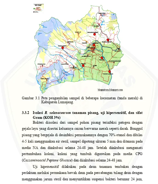 Gambar 3.1 Peta pengambilan sampel di beberapa kecamatan (tanda merah) di  
