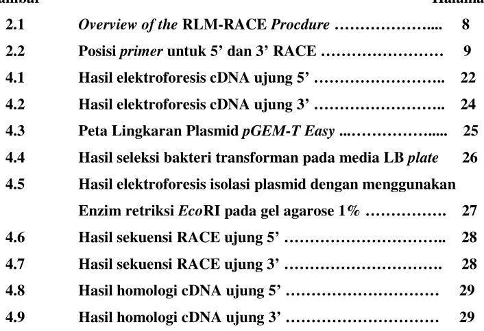 Gambar                                                                                                     Halaman 