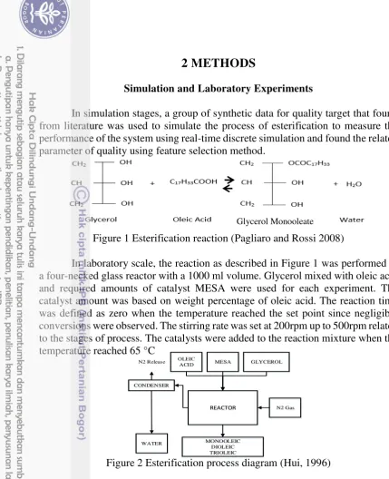 Figure 1 Esterification reaction (Pagliaro and Rossi 2008) 