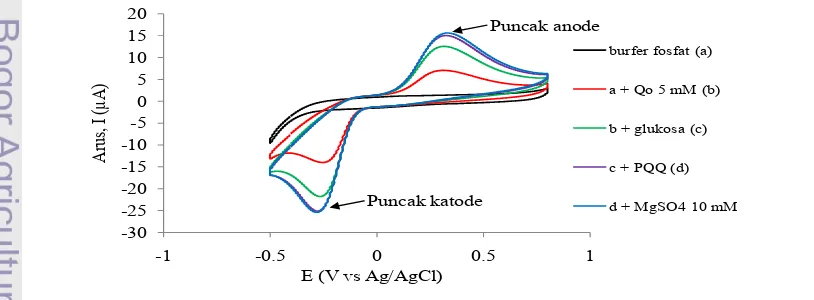 Gambar 6  Voltammogram siklis larutan bufer fosfat pH 6.5 (-), + Qo 5 mM ( -), + 
