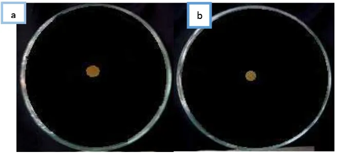 Gambar 6. (a)Trichoderma  vs Ganoderma spp., (b) Trichoderma  vs Ganoderma spp. 