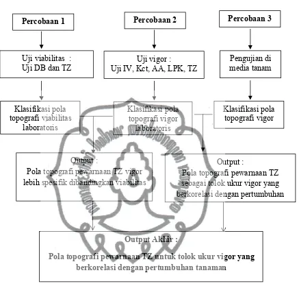 Gambar 3. Diagram alur penelitian uji tetrazolium sebagai tolok ukur vigorbenih pepaya (Carica papaya)