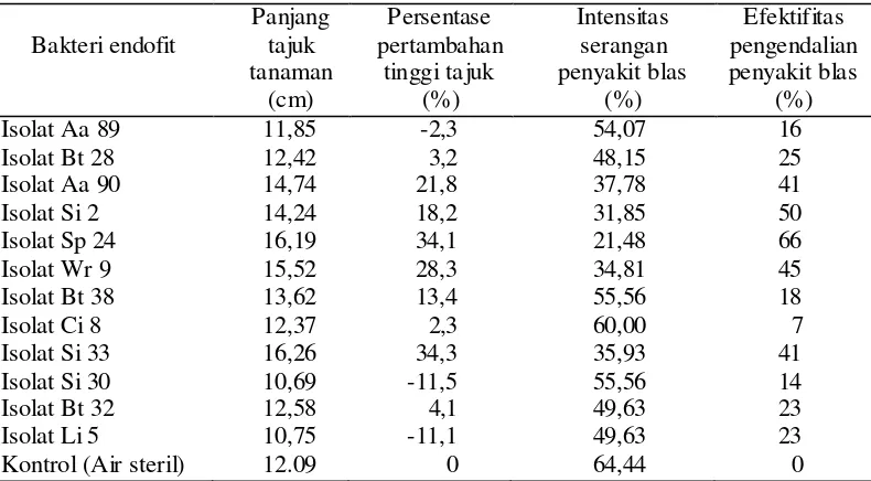 Tabel 2. Perlakuan bakteri endofit terhadap tinggi tajuk tanaman dan intensitas serangan penyakit blas pada padi gogo varietas Kencana Bali  