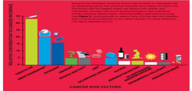 Gambar 2.2. Faktor risiko kanker Dikutip dari: American Assoociation for Cancer Research