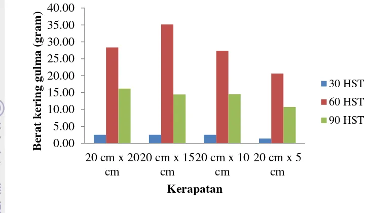Gambar 1. Rataan berat kering gulma pada perlakuan jarak tanam 