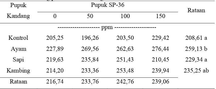 Tabel 5. Nilai P-potensial tanah akibat pemberian pupuk SP-36 dan pupuk kandang pada akhir masa vegetatif 