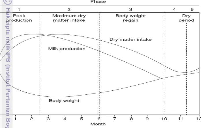 Gambar 1. Kurva Produksi Susu, Konsumsi Bahan Kering dan Bobot Badan Saat 