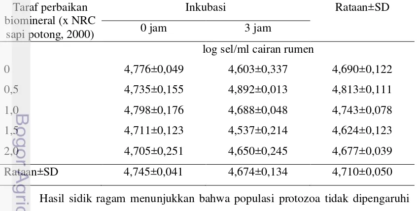 Tabel 8. Rataan Populasi Protozoa Total Perlakuan pada Percobaan in vitro  