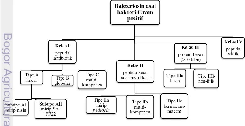 Gambar 1. Pengelompokan Bakteriosin Menurut Heng et al. (2007). 