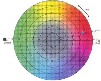 Gambar 4  Munsell color chart 