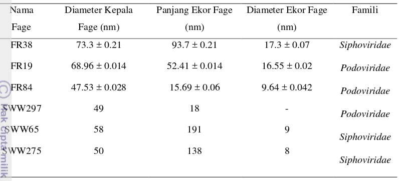 Tabel 4 Perbandingan morfologi fage FR38, FR19, dan FR84 dengan Turki et al. 