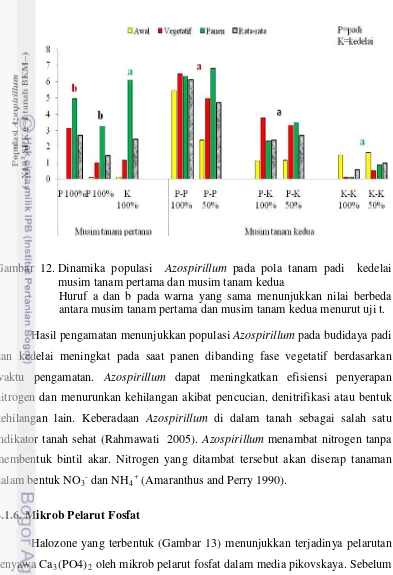 Gambar 12. Dinamika populasi  Azospirillum pada pola tanam padi  kedelai 