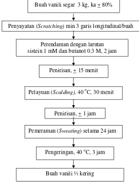 Gambar 5  Proses kuring vanili ½ kering modifikasi (Setyaningsih 2003) 