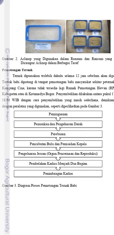 Gambar 2. Aclinop yang Digunakan dalam Ransum dan Ransum yang Telah 