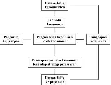 Gambar 4.  Model perilaku konsumen (Assael, 1984) 