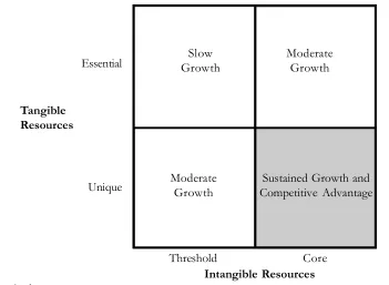 Figure 3. The Role of  Tangible and Intangible Resources in Relation to Growth andCompetitiveness