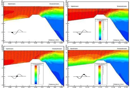 Figure 6. Cohesive Sediment Transport in Each Tidal Condition on the Vertical Cross Section 