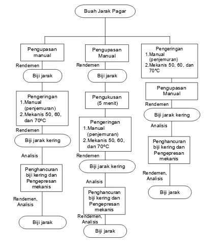 Gambar 10  Diagram alir penelitian 