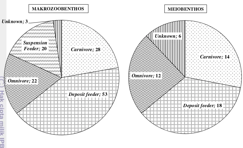 Gambar 13 menunjukan hubungan benthos (makrozoobenthos dan 