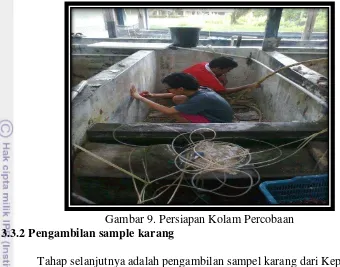 Gambar 9. Persiapan Kolam Percobaan 