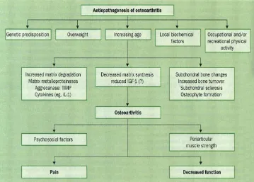 Gambar 2.3. Patogenesis Osteoartritis 
