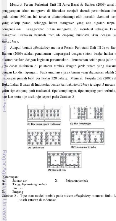 Gambar 2 .  Tipe atau model tambak pada sistem silvofishery menurut Buku Lahan 