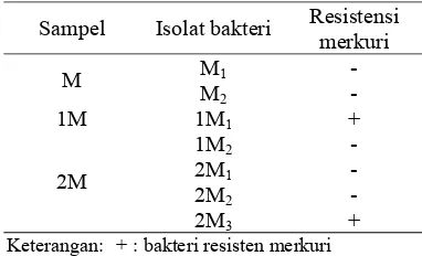 Tabel 1 Hasil isolasi bakteri resisten merkuri  Resistensi 