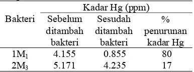 Tabel 5 Pengujian penurunan kadar Hg dengan isolat bakteri 