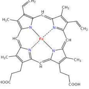 Gambar 7  Struktur molekul heme 