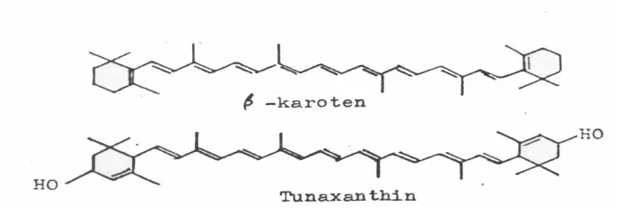Gambar 7.  Menurut Clydesdale dan Francis (1976), ß – karoten adalah karotenoid 