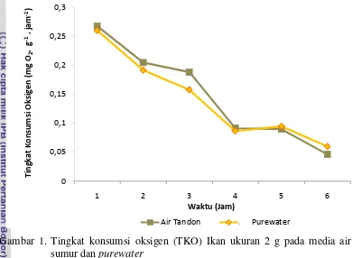 Gambar 1. Tingkat konsumsi oksigen (TKO) Ikan ukuran 2 g pada media air 