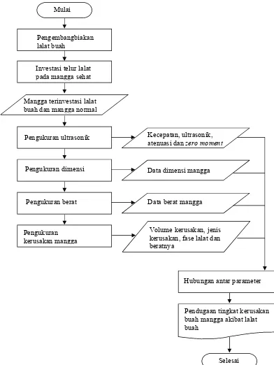 Gambar 7 Diagram alir prosedur penelitian.