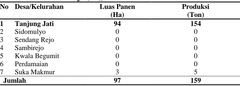 Tabel 4. Luas Panen dan Produksi Tanaman Kedelai Menurut Desa/Kelurahan di Kecamatan Binjai (Ha), Tahun 2013 No Desa/Kelurahan Luas Panen Produksi 